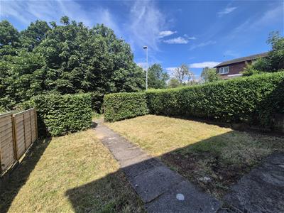 Picture 20